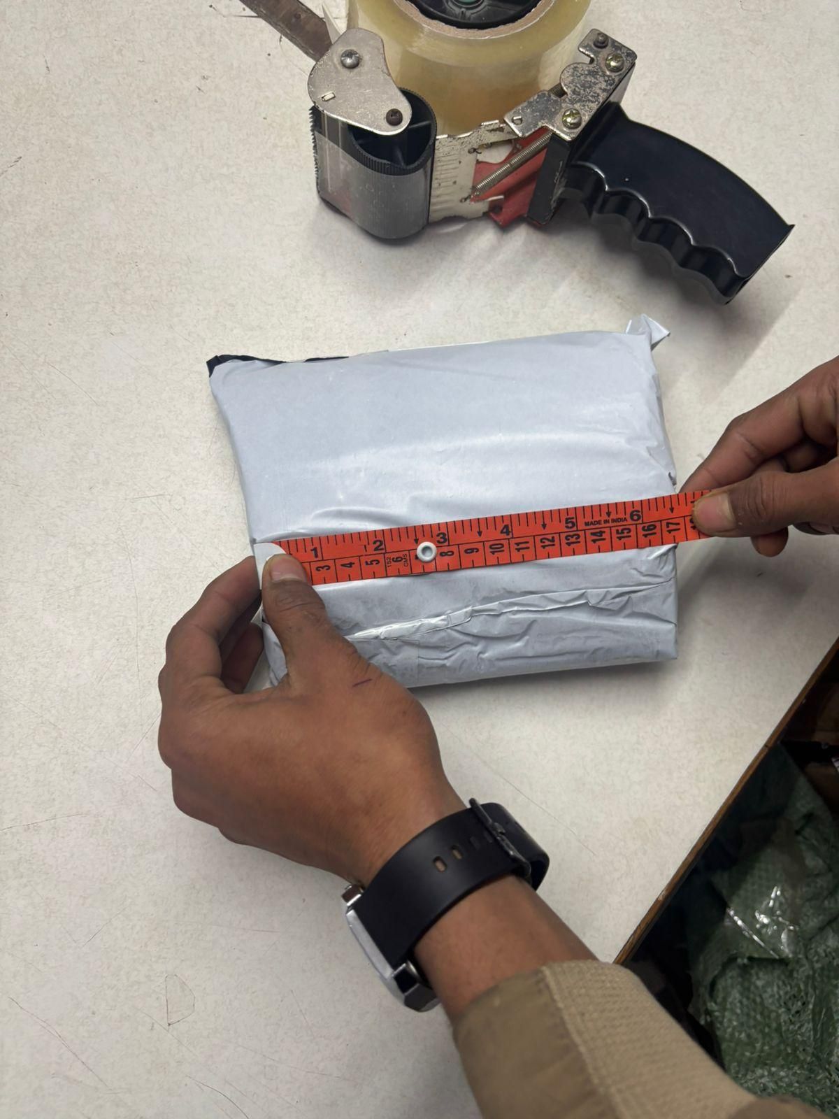 Plush Jumping Chicken  Wind-Up