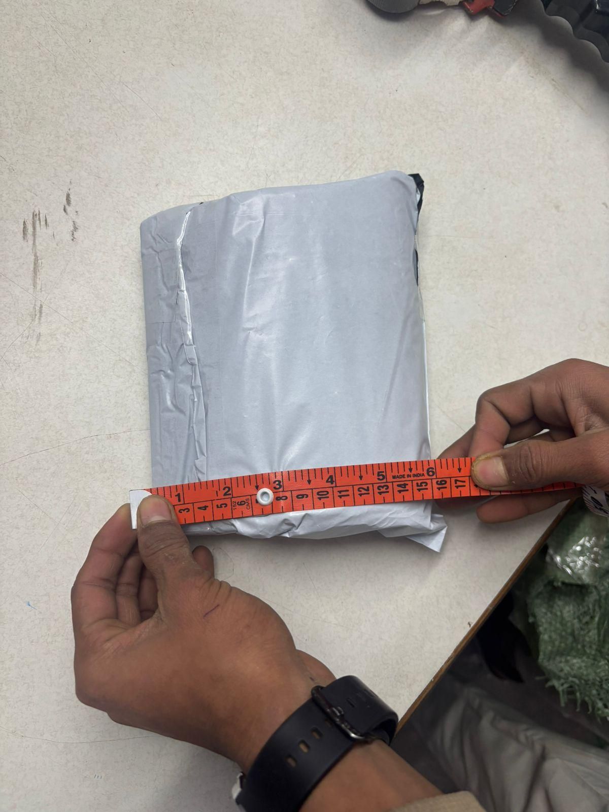 Plush Jumping Chicken  Wind-Up